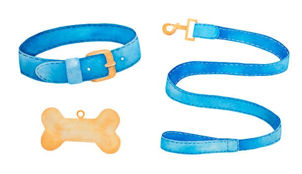 Pet Collars/Leashes — Shop — Frostytch