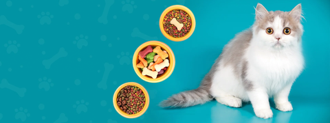 Cat Food