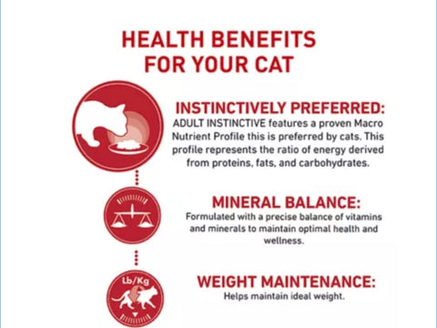 Royal Canin Feline Health Nutrition Instinctive Adult Cat Chunks in Gravy Food
