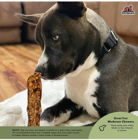Redbarn Bully Slices for Dogs, Highly Palatable, Long-Lasting Natural Dental Treats with Functional Ingredients, 9 oz. Peanut Butter