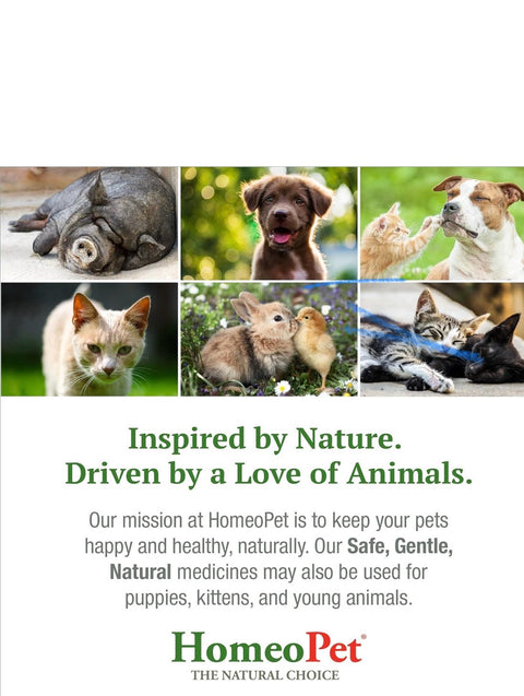 HomeoPet Digestive Upsets, Natural Pet Digestive Support, Digestive Supplement for Dogs, Cats, and Small Pets, 15 Milliliters