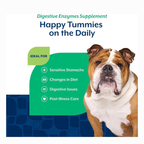 NaturVet Digestive Enzymes Plus Probiotic Soft Chews Digestive Supplement for Dogs, 70 count
