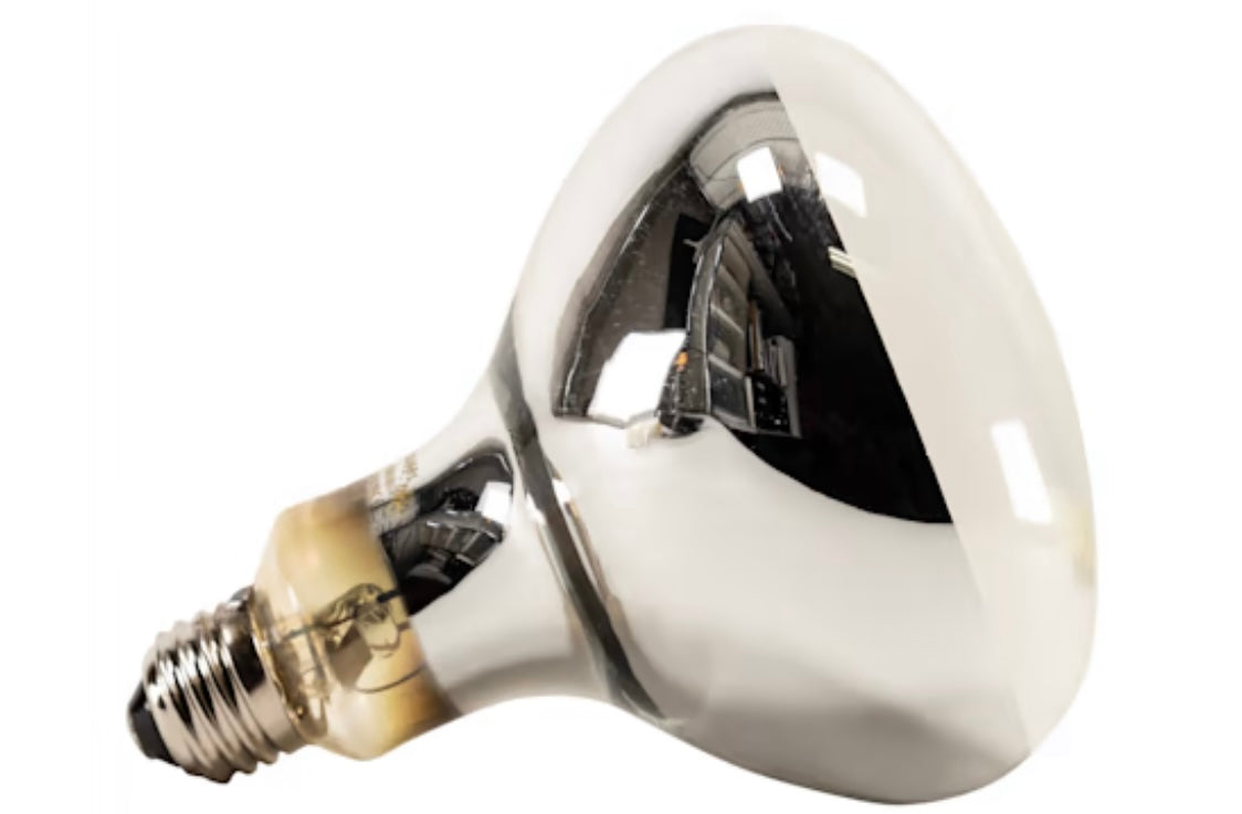 Zoo Med PowerSun UV Self-Ballasted Mercury Vapor UVB Lamp 100 w ...