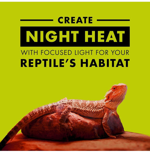 Zilla Reptile Terrarium Incandescent Heat Spot Bulb, Night Red, 150 Watts