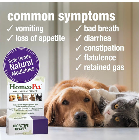 HomeoPet Digestive Upsets, Natural Pet Digestive Support, Digestive Supplement for Dogs, Cats, and Small Pets, 15 Milliliters