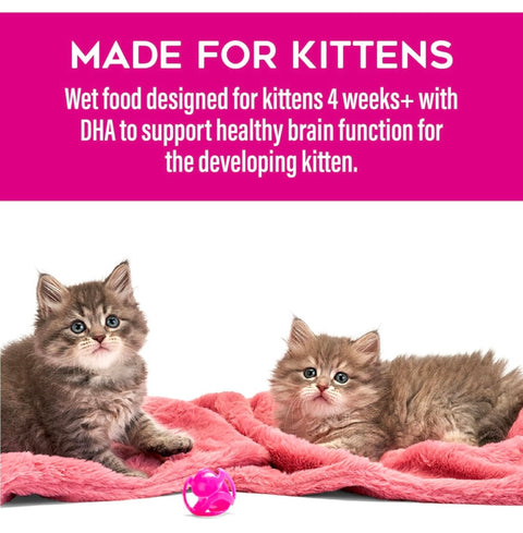 Tiki Cat Baby Pate Wet Cat Food for Kittens, Chicken, Tuna & Chicken Liver, 2.4 oz.