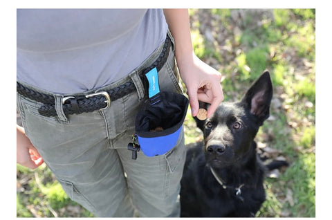 Chuckit! Treat Tote Dog Treat Pouch for Puppy Training, 1 Cup Capacity