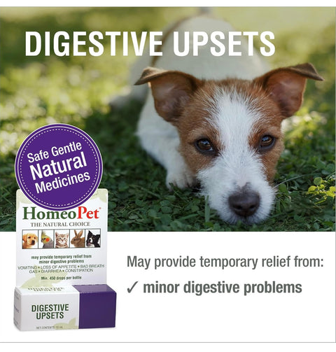 HomeoPet Digestive Upsets, Natural Pet Digestive Support, Digestive Supplement for Dogs, Cats, and Small Pets, 15 Milliliters