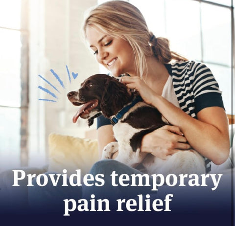 PetArmor Aspirin for Small Dogs, Fast Acting Anti-Inflammatory and Pain Relief For Dogs, Vet-Quality Joint Support and Pain Meds for Dogs, 75 Liver Flavored Tablets