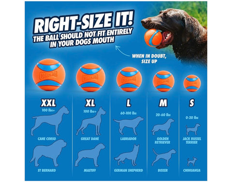 Chuckit! Ultra Ball Dog Toy, Balls for Dogs to Fetch, Durable Rubber, Small 2-inch, Pack of 2