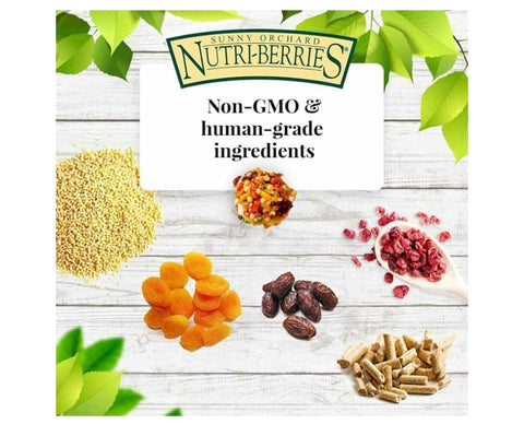 LAFEBER'S Sunny Orchard Nutri-Berries Pet Bird Food, Made with Non-GMO and Human-Grade Ingredients, for Parrots, 3 lb