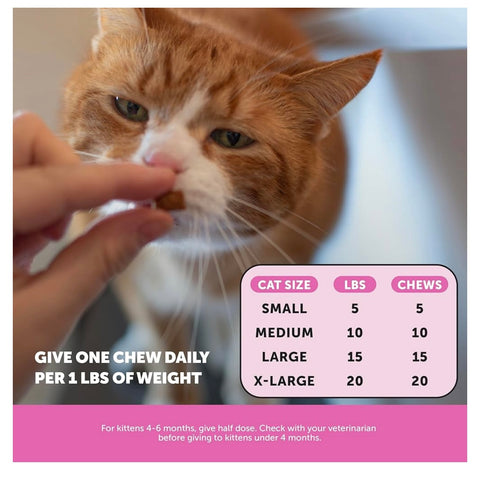Pet Honesty Cat Multivitamin Crunchy & Creamy Chews - Cat Treats for Health + Immune, Joint Support, Skin & Coat, & Digestion - Vitamins with Omega 3s, Lysine & Probiotics (30 Day Supply)