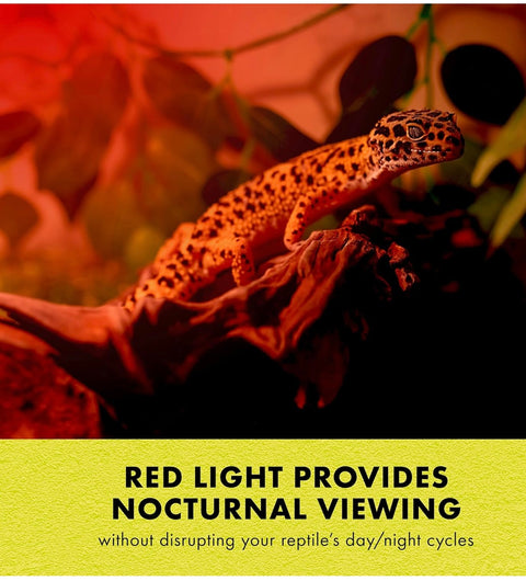 Zilla Incandescent Spot Bulb, for Nocturnal Reptile Species, Night Red 75 w
