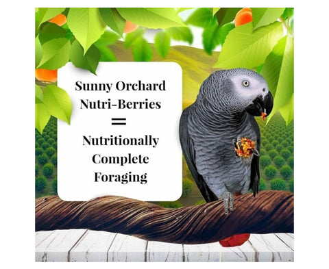 LAFEBER'S Sunny Orchard Nutri-Berries Pet Bird Food, Made with Non-GMO and Human-Grade Ingredients, for Parrots, 3 lb