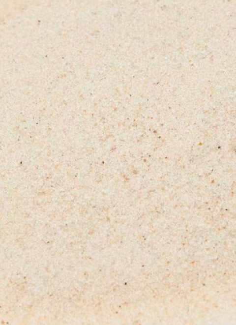 Zoo Med Reptisand Reptile Terrarium Sand, all natural terrarium sand 10-lb bag
