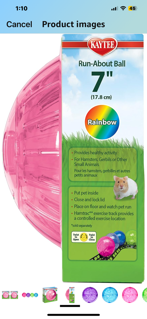 Kaytee 7" pink Color Run-About Exercise Ball for Pet Hamsters & Gerbils