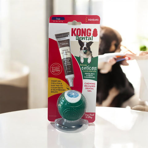 TropiClean Enticers Kong Dental Ball Kit for Medium Dogs | Teeth Cleaning Gel | Smoked Beef Brisket Flavor | 1 oz.
