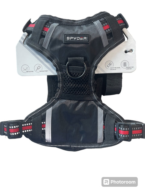 spyder 2 in 1 safety harness dual purpose harness