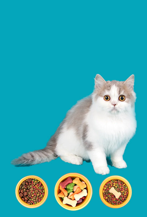 Cat Food