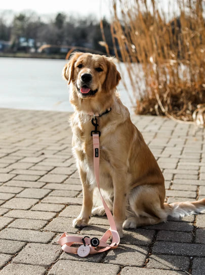 Blush Fabric Leash