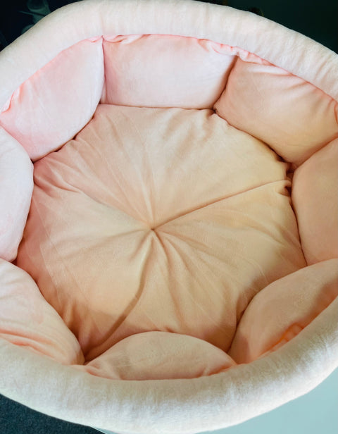 pink teddy bear donut pet bed