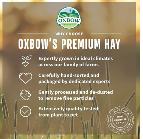 oxbow western timothy hay 15 oz