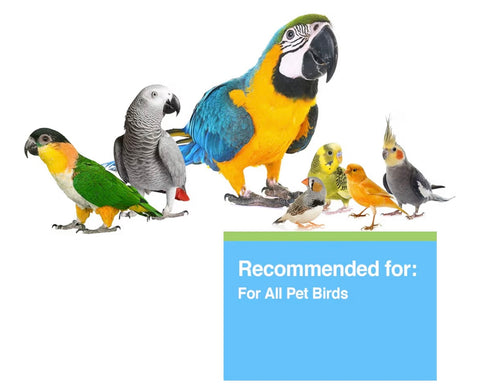 Hagen Clay-Cal Bentonite Clay Supplement for All Birds, Absorbs Toxins, Helps Gut Flora and Source of Calicum, 1.27 lb Bag