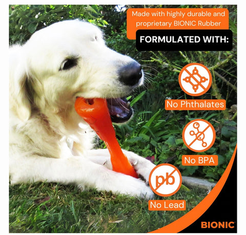 Bionic Urban Stick Tough Treating Dog Chew Toy, Orange, Large: 10-in