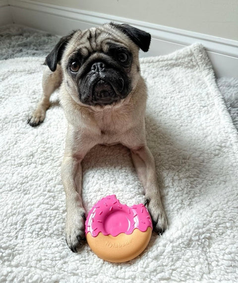 Nylabone Donut Power Chew Toy for Dogs, Dog Toys for Aggressive Chewers, Bacon Glazed Flavor, Medium Dogs - Up to 35 lbs,