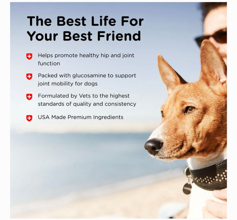 Nutri-Vet Hip & Joint Regular Strength Biscuits for Small & Medium Dogs Peanut Butter Flavor Treats, 19.5-oz bag