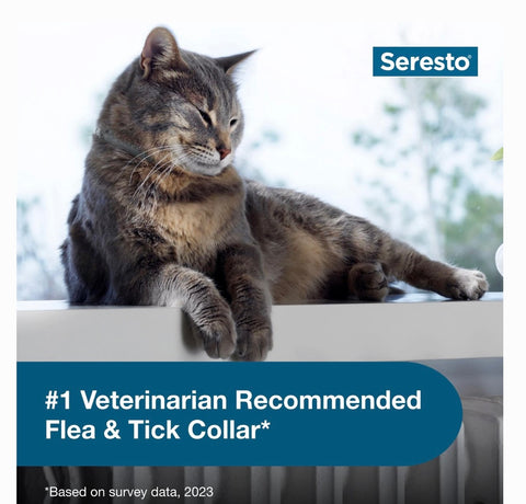 Seresto Flea & Tick Collar for Cats, 1 Collar (8-mos. supply)
