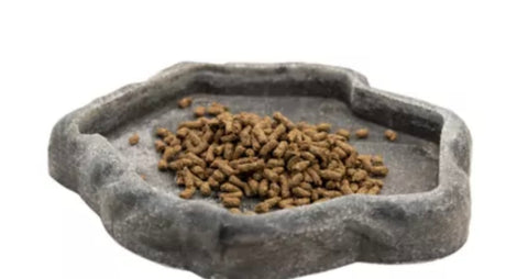 Zoo Med Adult Dragon Food 4.5 oz