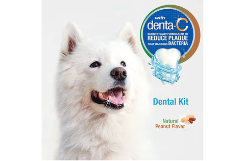 Nylabone Advanced Oral Care Natural Dog Dental Kit Peanut Flavor 2.5 oz.