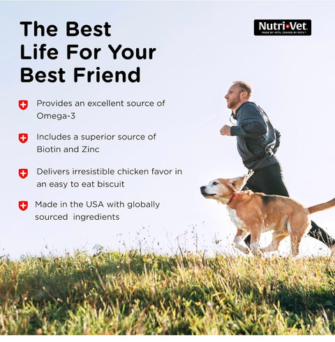 Nutri-Vet Skin & Coat Biscuits for Dogs - Tasty Dog Treat & Dog Skin and Coat Supplement - Small Sized Biscuit - Omega-3 and Biotin Dog Treat - 16 oz