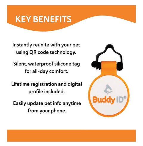 BuddyID BuddyBadge Silicone Pet Collar Tag with QR Code, Waterproof and Jingle-Free, Glow-in-the-Dark, Includes Lifetime Registration and Customizable Digital Profile, 1 ct