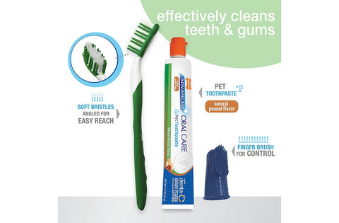 Nylabone Advanced Oral Care Natural Dog Dental Kit Peanut Flavor 2.5 oz.