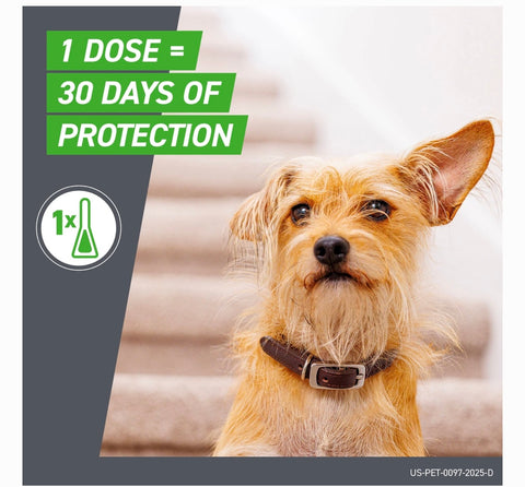 Frontline Plus Flea & Tick Spot Treatment for Small Dogs, 5-22 lbs, 6 Doses (6-mos. supply)