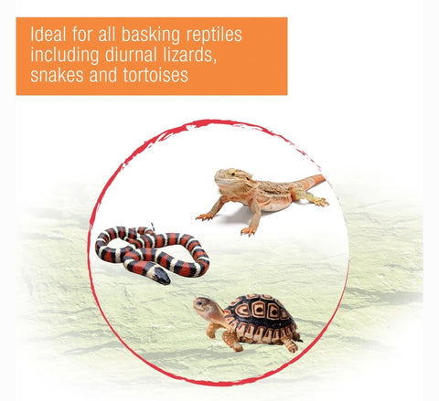 Zilla Heat Reptile Heat Projector, 75 Watt