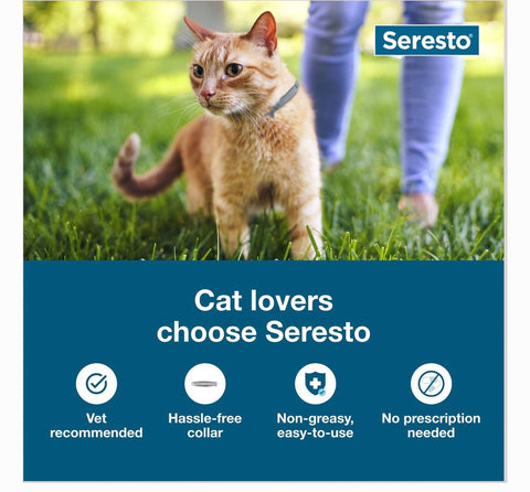 Seresto Flea & Tick Collar for Cats, 1 Collar (8-mos. supply)
