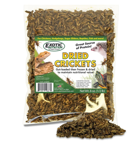 Dried Crickets 8 oz.