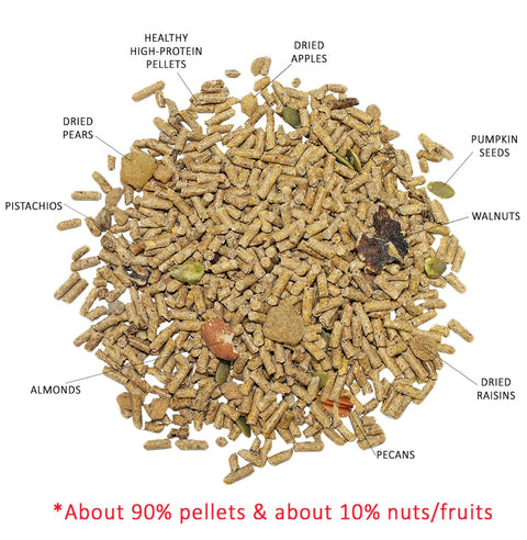 exotic nutrition DELUXE SQUIRREL DIET 2 LB. SQUIRREL FOOD