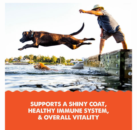 Grizzly Salmon Plus Omega 3-6-9 Food Supplement for Dogs & Cats, 16-fl oz bottle