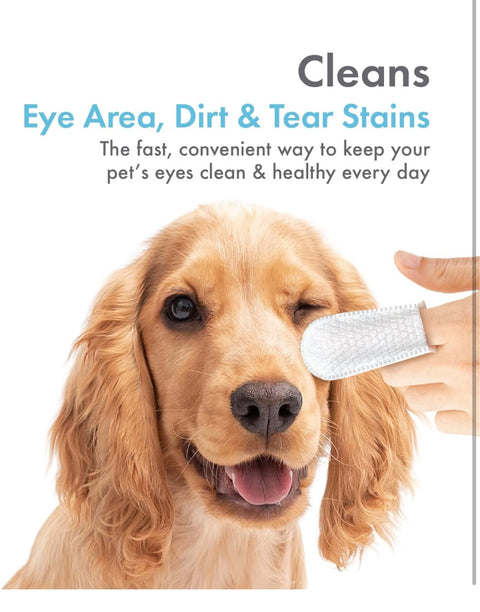 Petkin Fingertip Eye Wipes for Dogs and Cats, 50 Finger Wipes - Slip-On, Snug Fit, Micro-Bristle Fabric - Cleans Eye Area, Dirt and Tear Stains - Convenient, Ideal for Home and Travel - No Scent