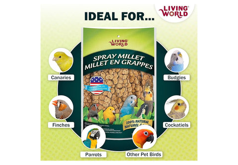 Living World - Millet Spray for Birds, 7 Oz
Premium Treat for Budgies, Canaries, Finches, Cockatiels and Other Pet Birds