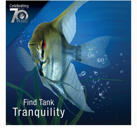 Tetra Whisper Aquarium Filter Cartridges, Small, 6 count