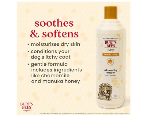 Burt’s Bees for Pets Itch Shampoo with Manuka Honey and Chamomile for Dogs, Itch Relief for Dogs - Naturally Derived Ingredients, 16 Fl Oz