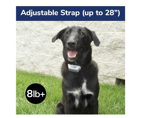 FreeSpirit Dog Training Collar with Remote - Waterproof - Rechargeable - With Tone, Vibration & Static - For Small & Large Dogs