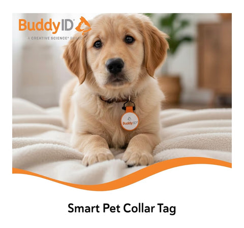 BuddyID BuddyBadge Silicone Pet Collar Tag with QR Code, Waterproof and Jingle-Free, Glow-in-the-Dark, Includes Lifetime Registration and Customizable Digital Profile, 1 ct