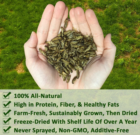 Dried Crickets 8 oz.