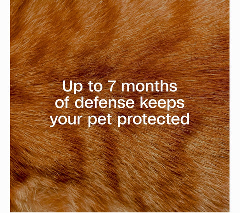 Adams Plus Flea & Tick Breakaway Collar for Cats